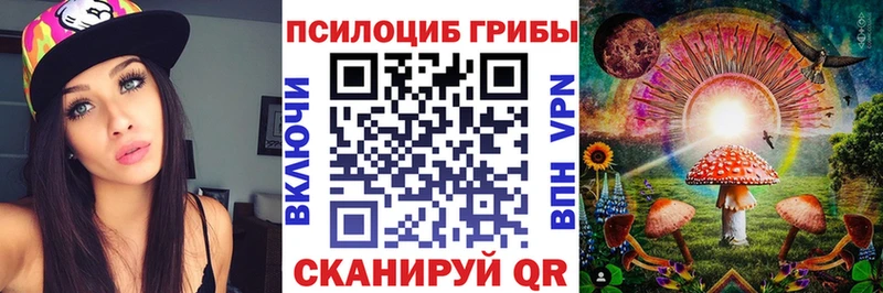 Галлюциногенные грибы Psilocybine cubensis  ОМГ ОМГ сайт  Гдов 